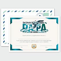 Display Da Record Personalizzato Regalo per La Festa Del Papà Dalla Figlia, Disco per Papà Figlia