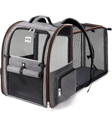 best carryon travel backpack The Best Carry-on Travel Backpacks