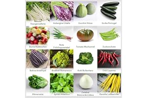 PRADEMIR Mezclar "hortalizas de jardín" 16 x semillas (10-50 piezas) de hortalizas no comunes de Portugal / 100% natural (sin químicos/ayudantes de crecimiento artificial)