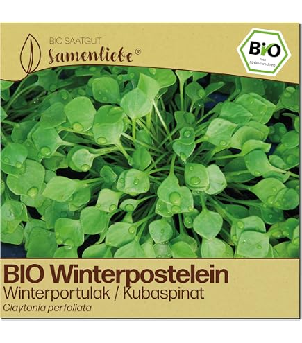 hortensie künstlich Kunstpflanzen | Künstliche Hortensie - Helga, 35 cm | Wie echt main image 0