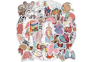 EHDWXVZM 100 Stück Organ-Anatomie-Aufkleber, Computer-Notebook-Aufkleber, Organ-Aufkleber, Gepäckaufkleber, Dekorative Aufkleber