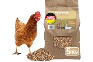 Eggersmann Körnerpick Hühnerfutter 5 kg Körnerfutter Basic - Basic Hühner Körnerfutter Geflügelfutter - Premium Körnermischung für Hühner Gänse und Enten