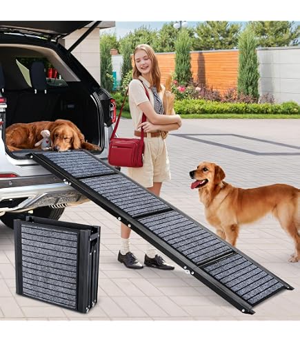 Ceinture De Sécurité Pour Chien Voiture TinyPaw - Réglable, Absorbeur D' Énergie - Compatible LATCH & ISOFIX - Sécurité Max Accessoire Chien Ceinture De Sécurité Pour Chien Voiture TinyPaw - Réglable, Absorbeur D' Énergie - Compatible LATCH & ISOFIX - Sécurité Max Accessoire Chien