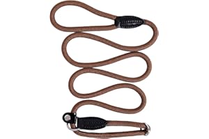 lionto Smycz typu retriever, 170 cm, odporna na warunki pogodowe, smycz i obroża w jednym, szybkie zakładanie, z miękkim materiałem chroniącym sierść i z blokadą zacisku, wegańska, kolor brązowy