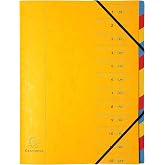 Exacompta Colorspan 54129E Premium File Folder Cardboard Extra Strong DIN A4 12 Full Colour Compartments and 2 Elastic Bands
