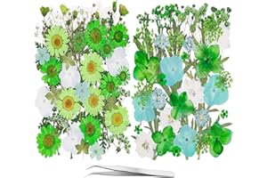 YouthBro 20 Types 81PCS Green Dried Pressed Flowers for Resin Real Nature Flowers Herb Set for DIY Jewelry Candle Soap Vase Making Nail Card Scrapbook Art Craft Floral Decors