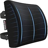 FORTEM Cojín Lumbar Ergonómico para Silla de Oficina, Coche y Gaming, con Espuma Viscoelástica de Alta Densidad y Funda Lavab