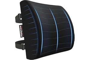FORTEM Cojín Lumbar Ergonómico para Silla de Oficina, Coche y Gaming, con Espuma Viscoelástica de Alta Densidad y Funda Lavable, Respaldo Ortopédico para Mayor Comodidad