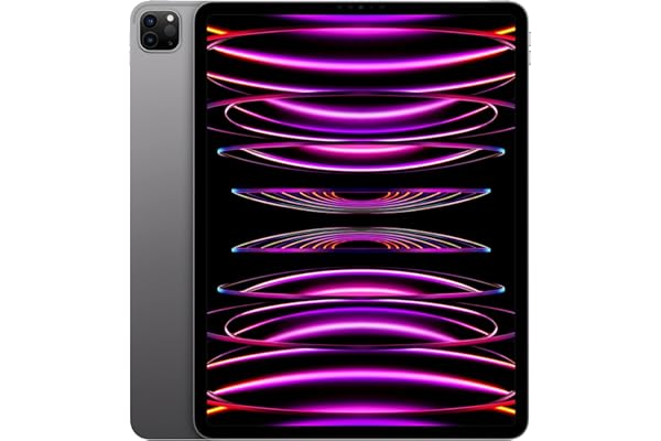 Apple 2022 iPad Pro 12,9 Pouces (Wi-FI, 128 Go) - Gris sidéral (6ᵉ génération)