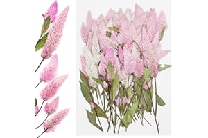 Cayway 60 sztuk suszonych kwiatów żywicznych, naturalne prasowane róże suche prasowane kwiaty, naturalne suszone kwiaty do świec DIY biżuteria żywica udział