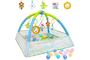 Dr.Rapeti Tapis d'éveil Bébé, Tapis d Eveille Bebe, Tapis d'éveil pour Bébé Avec Ballon, Tapis de jeu avec arche, Jouets Amovibles, Miroir, Livre en Tissu, Balles, Tapis Sensoriel Bebe