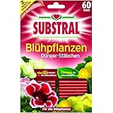 Substral Dünger-Stäbchen für Blühpflanzen mit Eisen-Plus und 2 Monate Langzeitwirkung, 60 Stück