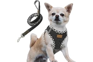 Aiminto Premium Denim Dog Harness and Leash Set, Step in, Breathable Mesh, Lightweight, Reflective Vest Harness - for Cats and Extra Small Dogs (Black, XXXS)