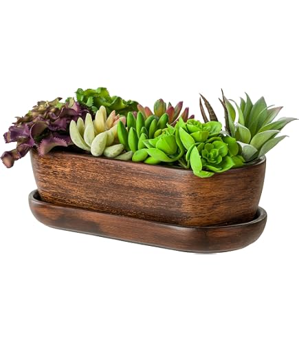 Bonsai - Untersetzer eckig 31,5 x 24,5 cm, grn 53302: Amazon.de: Garten