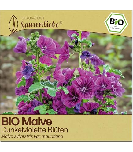 Bingenheimer Saatgut Natternkopf Echinum plantagineum demeter bio fr ca.  80 Pflanzen : Amazon.de: Garten