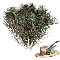 100 stuks kraanveren, fazantenveren, decoratieve fasaanveren voor dromenvanger, knutselen, veren, kunstveren, blauw, groen, kraan, veer, natuurlijke knutselveren, vogelveren, voor feestmaskerdecoratie