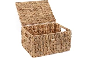 FEILANDUO - Canestri in vimini con coperchio, cestino di stoccaggio in erba marina, scatola rettangolare per organizzatore da scrivania per la casa (naturale, grande)