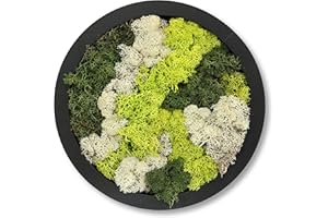 comforder Quadro da parete rotondo con vero muschio (diametro 27 cm), immagine muschio conservata con cornice in legno, decorazione da parete naturale per il soggiorno