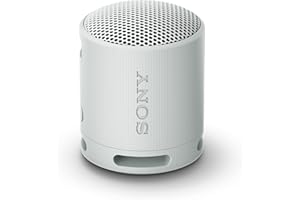Sony SRS-XB100 - Enceinte sans Fil Bluetooth, Portable, légère, compacte, Durable, IP67, étanche à l'eau et à la poussière, Batterie 16H, dragonne Polyvalente, appels Mains Libres, Gris Perle