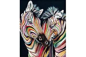 OWN4B Cross Stitch Kits Stamped, Colorful Zebra Printed Pattern 11CT 14.2x18.1 inch DIY Embroidery Kit (Zebra)