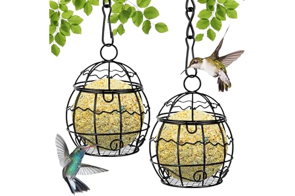 OFFCUP Mangeoires Oiseaux, 2pcs Métal Mangeoire Oiseaux Exterieur avec 2pcs Crochets en Forme de S, Suspendue Boule de Graisse Bird Feeder pour la Cour de la Maison Le Jardin la Faune (Noir)