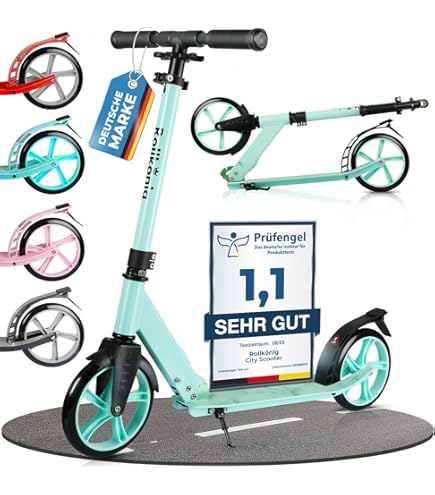 E-scooter / Trottinet (Defekt) in Holziken für CHF 50 – nur Abholung