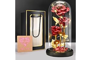 BoriYa Ewige Rose-Geschenke für Frauen,Roses im Glas,Muttertagsgeschenke für Mama,Infinity Rosen Geschenk für Freundin Geburtstag,Schöne und das Biest Rosen mit Licht,Sparkly Galaxy Rose in Glaskuppel