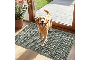 Biscpro Dirt Trapper Door Mats Indoor, Non-slip Barrier Mats for Indoor Outdoor, Super Absorbent Entrance Rug Machine Washable Soft Floor Carpet for Front Back door, Green, 60 x 90 cm