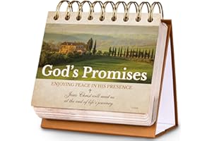 JOURNALTASTIC Motivational Calendar - Desk Calendar with Inspirational Thoughts, Christian Gifts, Religious Gifts for Women and Men, 4.7'' x 5'' Flip Calendar, God's Promises Perpetual Calendar, Christian Decor