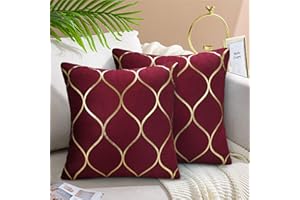 Hanrunsi Cushions Covers Modern Wine Red 45 x 45 cm Velvet Decorative Pillows Covers Soft Square Throw Pillow Case for Patio Garden Blench Living Room Sofa with Invisible Zipper Pack of 2
