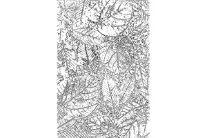 Sizzix Fades Embossing Folder Foliage by Follaje de Carpeta Relieve de Textura 3-D de Tim Holtz, 665252, Multicolor, Talla única