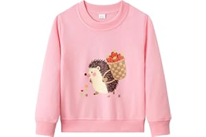 Dinopjs Pullover für Mädchen, Madchen Sweatshirt, Mädche Lieblings Klassischer Flamingo-Königin, Prinzessin Osterhasen, Süßer Igel, Weihnachten Pinguine, Mädch Warm Sportshirt für Kinder 2-9 Jahre