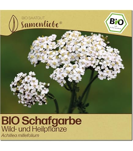 saatgut blumen Saatgut Schnittblumen-Saatgut Kollektion - Collection fleurs  couper   semer