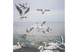 Dan Mangan - More Or Less