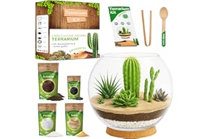 PYEF CRAFTS Kit terrarium plantes succulentes et cactus DIY - Kit terrarium en verre écosystème désert - Set aquarium pour plantes succulentes et cactus naturels - Jardin éternel désertique (sans