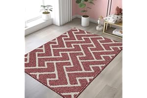 Biscpro Runner Rug Non-Slip 80x120cm Mats for Hallway Dirt Trapper Rug Durable Rubber Backing Carpet Low-Profile Absorbent Entrance Long Door Mat Runner Rug for Entryway Laundry,Patio Room-Red