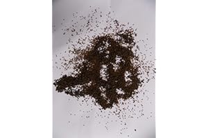 Koidivision MICRO Sinking Pellet Koi Fry Growth Food 200gm -10kg 0.5mm-1mm Sinking high protein Pond (1)