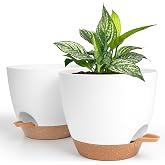 Winter Shore Self Watering Planter White and Brown 20cm (Pack of 2) | Plastic Planter with Drainage Holes, Saucer, Water Tank