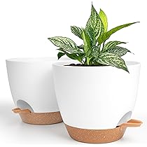 AUTOPOT - INSERTO PER PIANTE PER VASI DA 8,5L