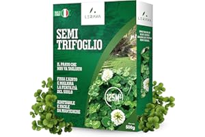 LERAVA Trifoglio Nano semi prato (125 m²) - Non richiede taglio - Semi trifoglio nano per prato verde - Migliora fertilità del suolo e copertura calpestabile - Fioritura bianca per giardini - 500g