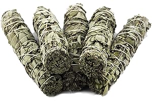 Nosy Nomad White Sage Smudge Stick (Salvia apiana) | Medium Incense Sticks Set of 5 - Sage Smudge Stick Gift Set, Spiritual Gifts & Supplies, New Home Gift, Native American Gifts, Ideal For Meditation