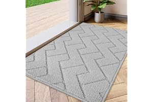 Biscpro Tapis de Porte Paillasson d'Entree Interieur et Extérieur Tapis Antidérapant et Absorbant, Lavable, Tapis pour Intérieur, Extérieur, Chambre, Cuisine, Entrée, Couloir (Light Grey, 50 x 80 cm)
