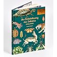 Die Entstehung des Lebens. Evolution: Eintritt frei! - Sachbilderbuch ...