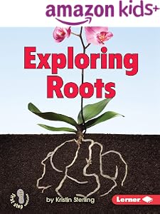 kindle best category lists