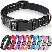 Maiiu Reflektierendes Hundehalsband Mit Leine – Verstellbar, Nylon, Sicherheitsverschluss, Schwarz, Für Kleine Bis Große Hunde