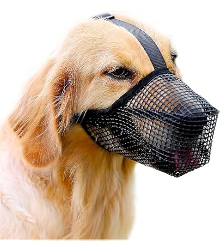Maulkorb Für Hunde – Giftköderschutz & Verstellbar | Für Große & Mittelgroße Hunde | 17x17 Cm