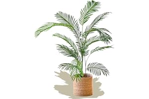 Maia Shop Palmier Artificiel de 150 cm pour la Décoration de la Maison et du Bureau, Arbre, Plante Artificielle Décorative Hyperréaliste, Plante Tropicale