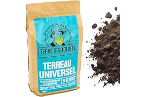 TERRE D'AUGUSTE LA TERRE DU PATRIARCHE DEPUIS 1920 Terre d'Auguste - Terreau Universel 6L - pour Plantes d'Intérieur, Gazon, Plantes Vertes - Sac Refermable, Qualité Supérieure