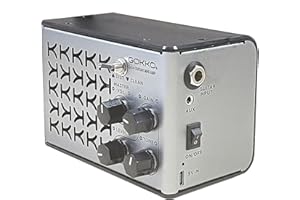GOKKO 10 W tragbarer wiederaufladbarer Gitarrenverstärker für elektronische Gitarre