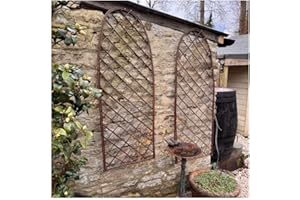 GARDENING NATURALLY Trellis Panel Handmade Willow Trellis for Climbing Plants – Ideal for Climbing Plants in Gardens & Planters (Pack of 2)